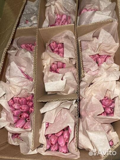 Тюльпаны к 8 марта