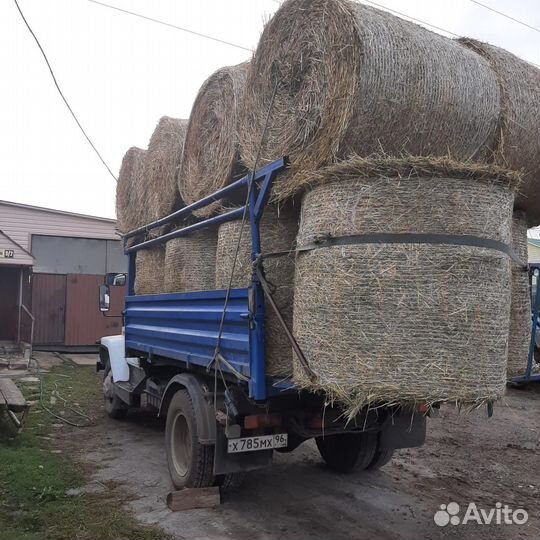 Сено с доставкой