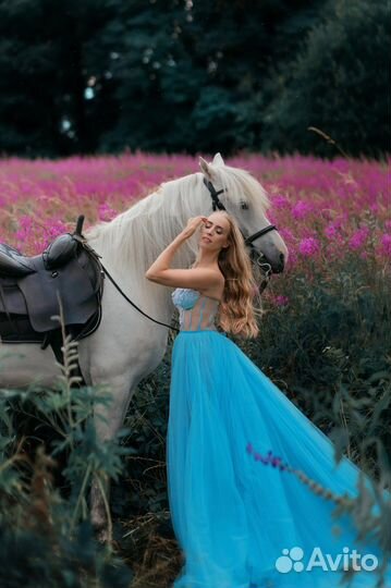 Фотосессия с лошадью, фотограф с животными