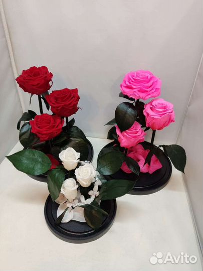 Роза в колбе