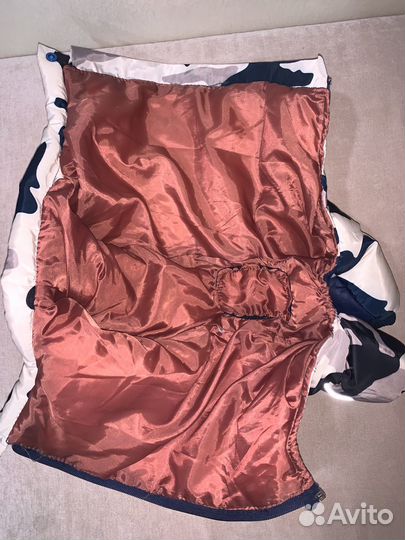 Одежда для средних собак