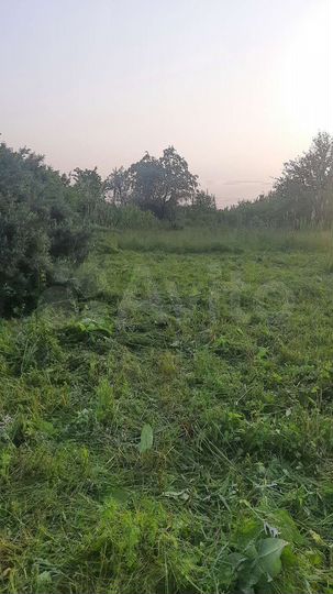 Участок 8 сот. (СНТ, ДНП)