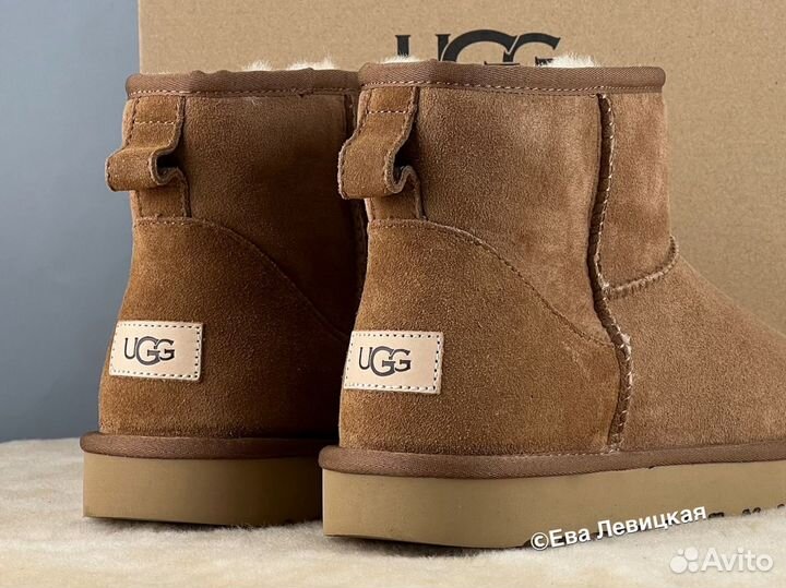 Угги мужские Ugg Mens Classic Mini II Chestnut