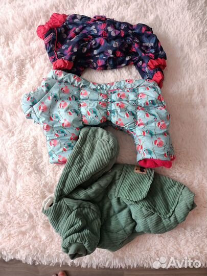 Одежда для маленьких собак