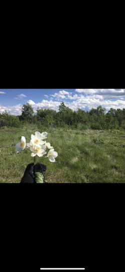 Участок 9 сот. (СНТ, ДНП)