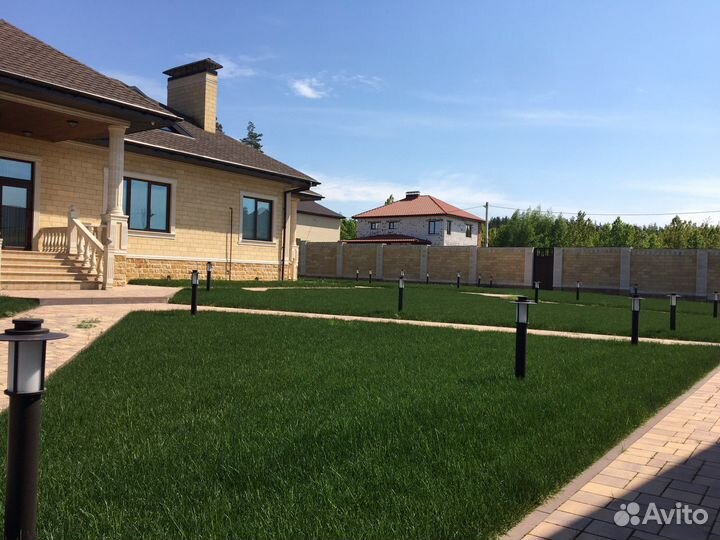 Рулонный газон 