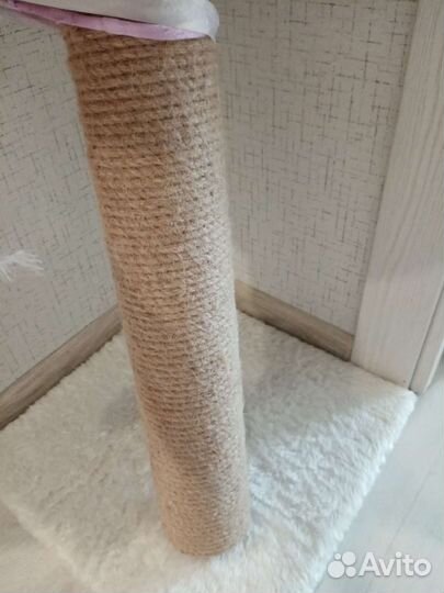 Когтеточка