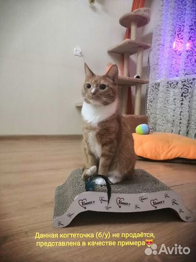 Миска Интерактивная Кормушка Силиконовая