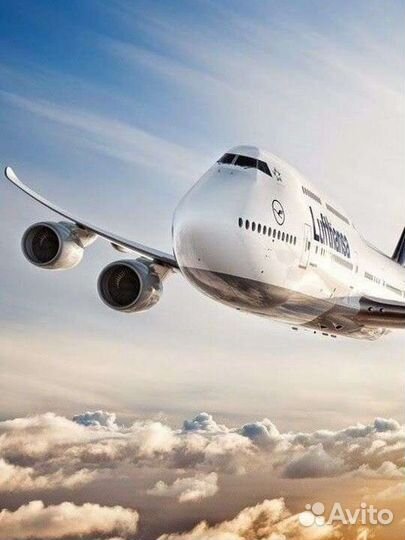 Помощь в получении виз