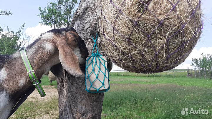 Рептух-кормушка-сетка для сена и поводок (чомбур)