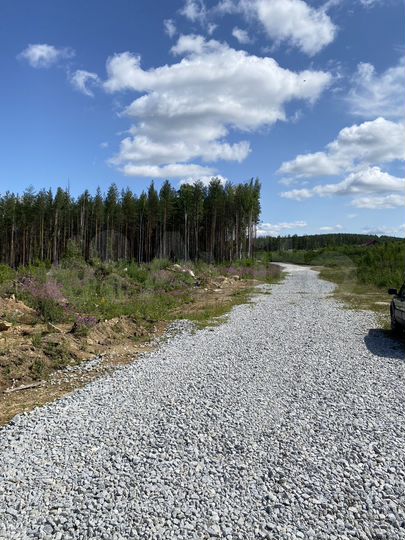 Участок 10 сот. (ИЖС)