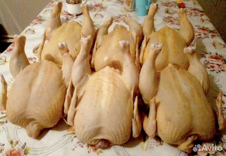 Домашний бройлер