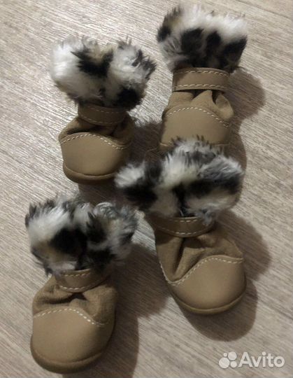 Обувь для собачки