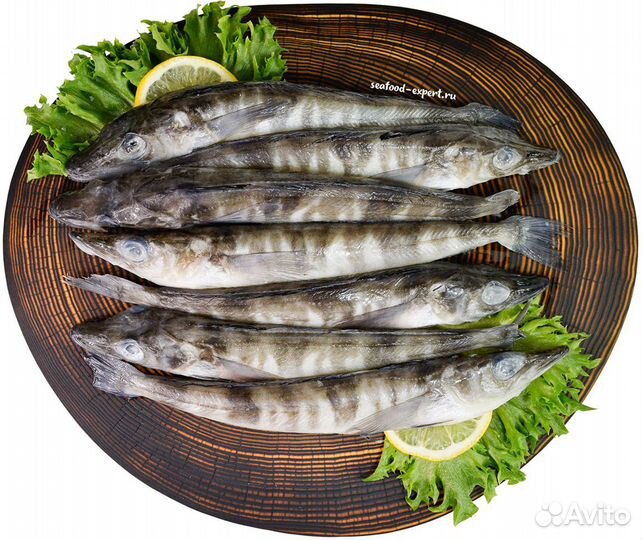 Ледяная рыба (свежемороженая), вес