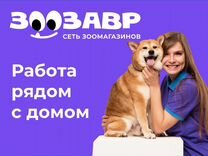 Продавец-кассир в зоомагазин Центральный рынок