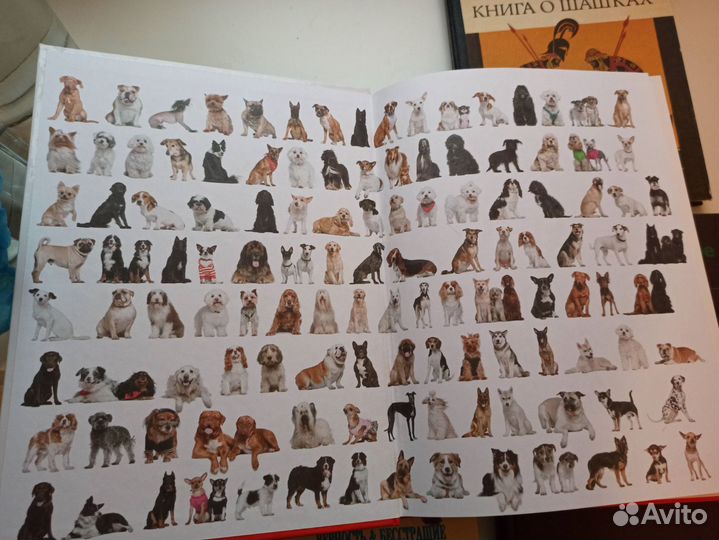 Большая энциклопедия. Собаки