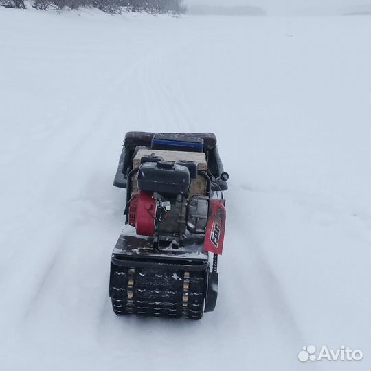 Мото собака