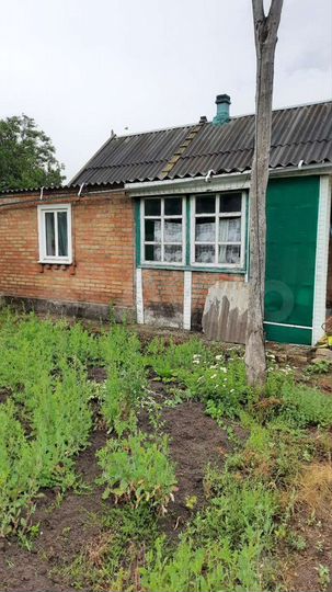 Дом 29,6 м² на участке 16 сот.