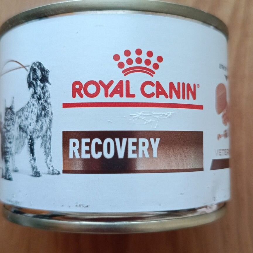 Royal canin recovery