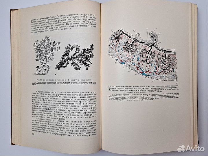 Пэттен Эмбриология человека Учебник Медицина