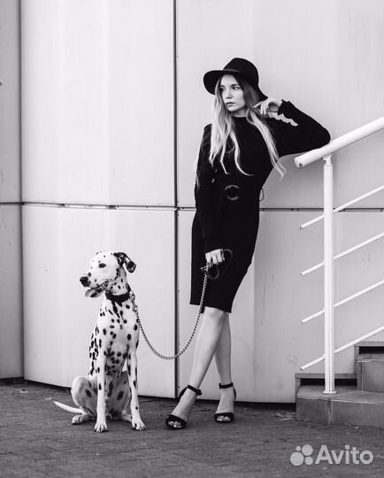 Кинолог, Дрессировка собак, Воспитание щенка