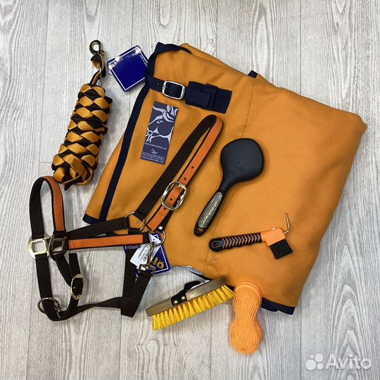 Попона, недоуздок, щетки для лошади