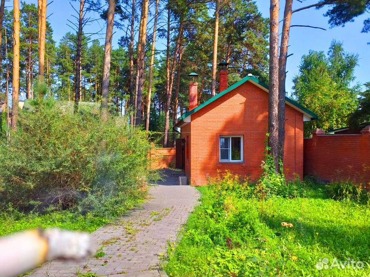 Аренда дома в лесу для семейного отдыха