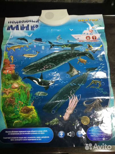 Плакат музыкальный