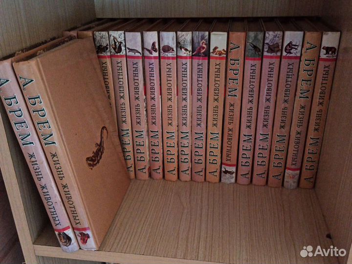 Познавательные книги