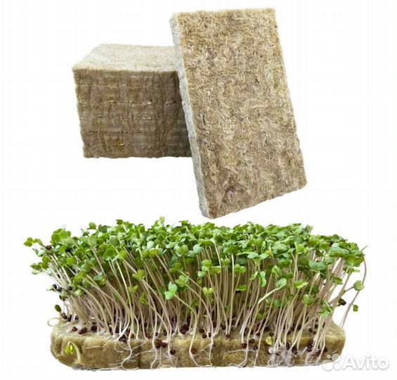 Агровата для микрозелени