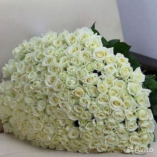 101 Роза Цветы Букеты 51 25 Роз Доставка