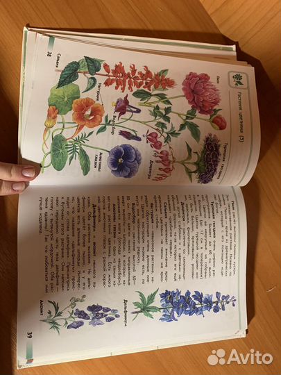 Атлас-определитель «От земли до неба» А. Плешаков