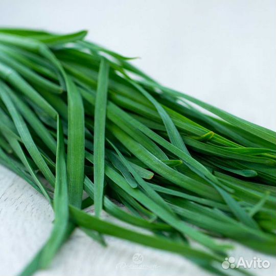 Лук душистый Джусай в Партизанске