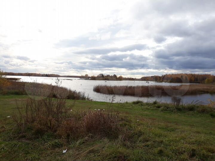 Участок 38 сот. (ИЖС)