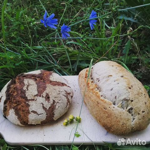 Закваска для хлеба из био-муки