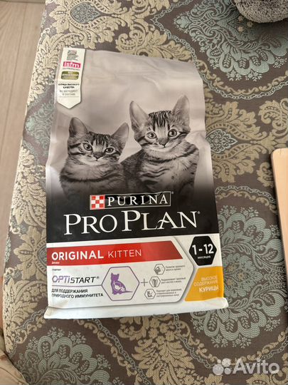 Продам кошачий корм для котят сухой pro plan