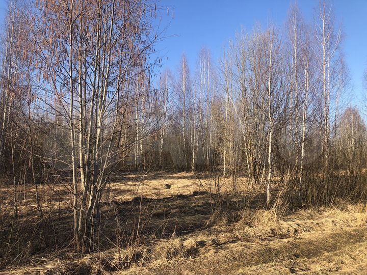 Участок 12 сот. (ИЖС)