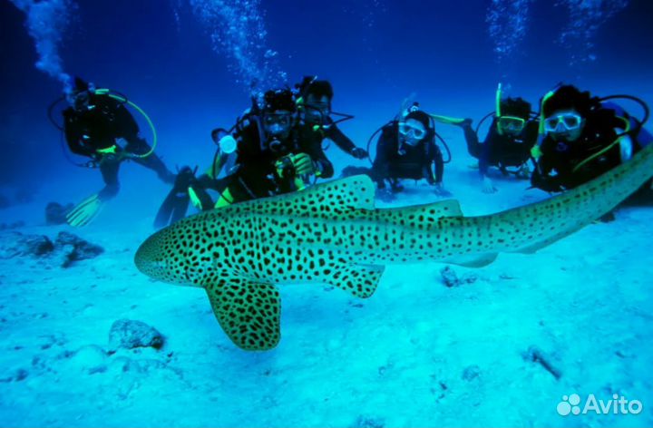 Путешествие в Таиланд на 9 ночей от. 3-4* завтраки