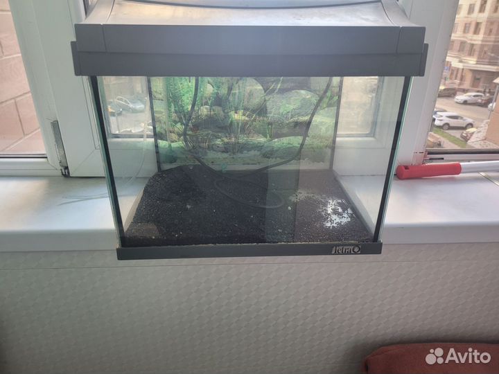 Аквариум