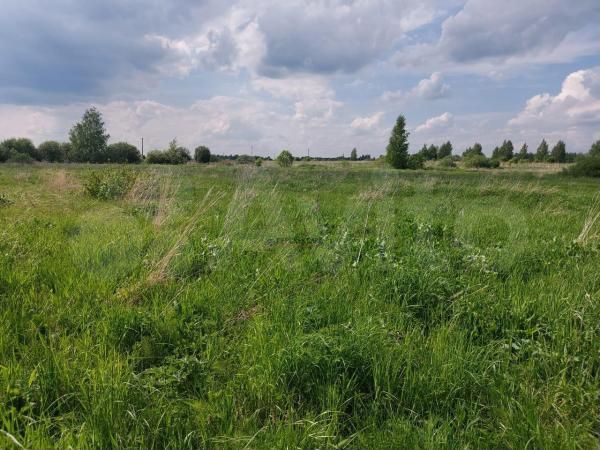 Участок 4,36 га (СНТ, ДНП)