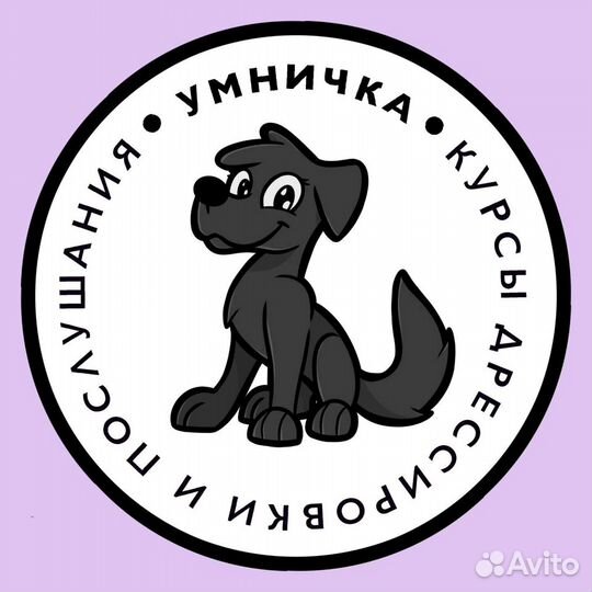 Дрессировка и зоогостиница