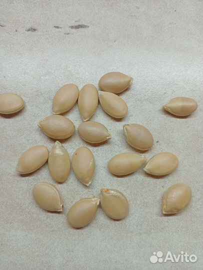 Семена мускатной тыквы Розовый банан 15 штук