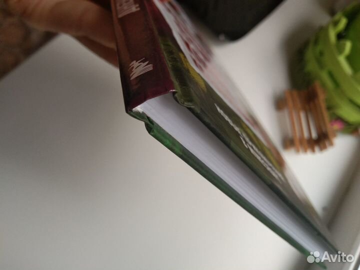 Дневник Стива Конек квадратноног