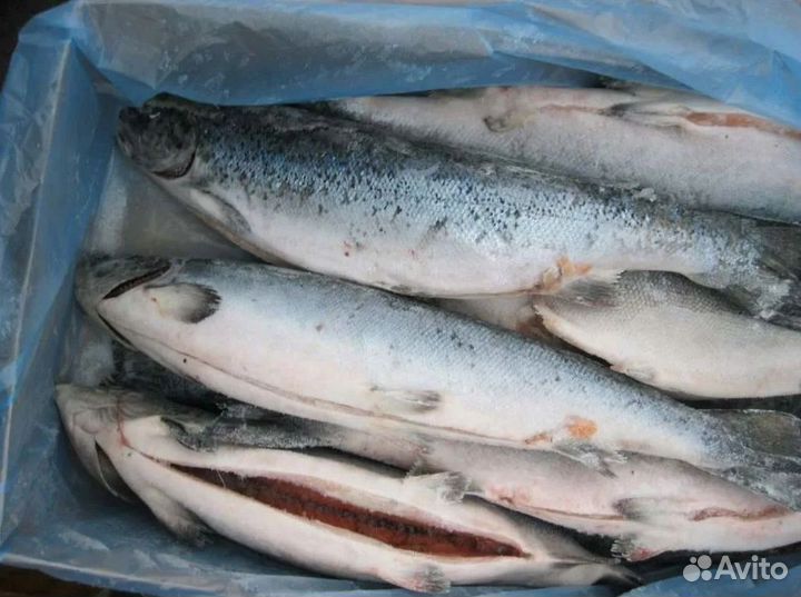 Франшиза: доход с первого дня