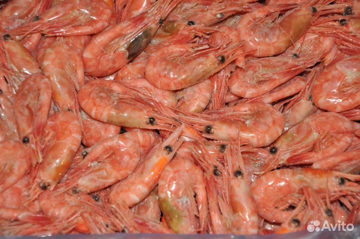 Креветка