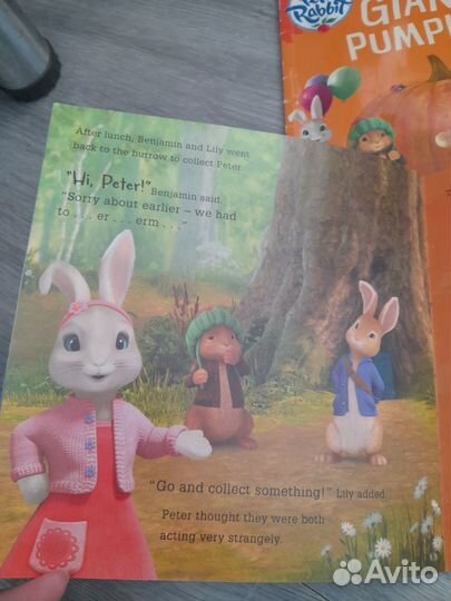 Книги на английском для детей Peter Rabbit