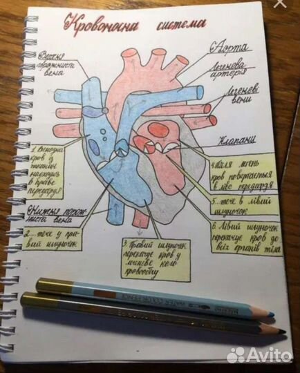 Пишу лекции, конспекты