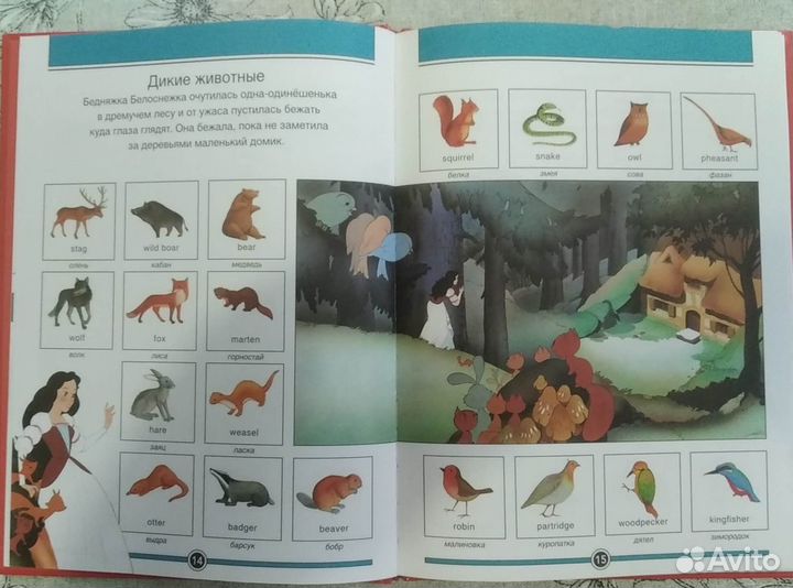 Мои первые словари в картинках