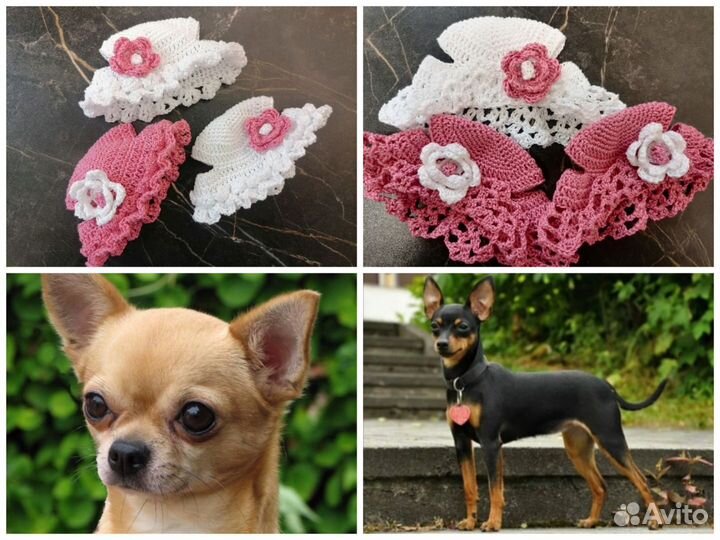 Летние шапочки для маленьких собачек