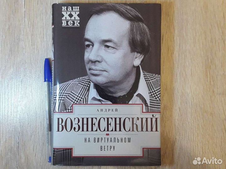 Андрей Вознесенский - На виртуальном ветру